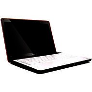 Ремонт ноутбука Lenovo Ideapad y450